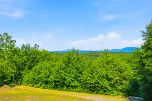 29 Griffin Mountain Rd, New Vineyard, ME 04956 - Photo 24
