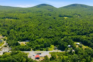 29 Griffin Mountain Rd, New Vineyard, ME 04956 - Photo 16