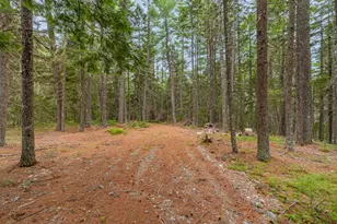 Lot 2L Upton Rd, T26 Ed Bpp, ME 04686 - Photo 22