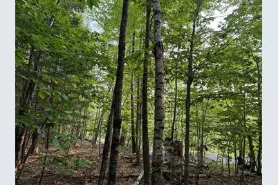 Lot 15-3B Sweden Road, Bridgton, ME 04009 - Photo 4