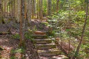 29 2 Rod Rd, Rangeley Plt,  04970 - Photo 42