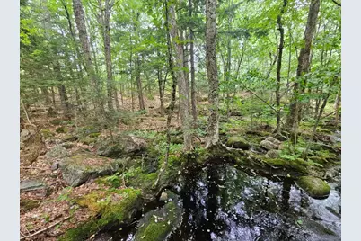 19A Quaker Ridge Road, Leeds, ME 04263 - Photo 10