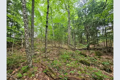 19A Quaker Ridge Road, Leeds, ME 04263 - Photo 2