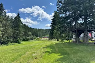 1038 S Perley Brook Rd, Fort Kent, ME 04743 - Photo 46