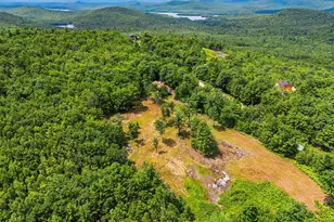 98 Stevens Rd, Stoneham, ME 04231 - Photo 60