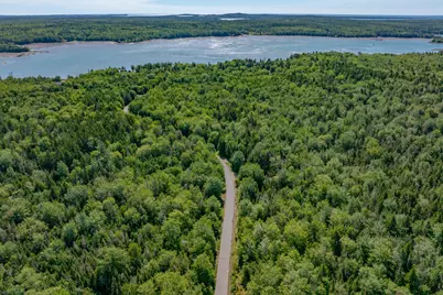 Lot #12 Merganser Drive, Gouldsboro, ME 04607 - Photo 6
