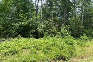 M13L65 Holmes Rd, Dover Foxcroft, ME 04426 - Photo 1
