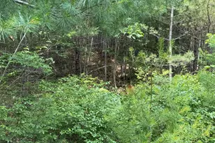 Lot 068011 Shore Rd, Bremen, ME 04551 - Photo 1