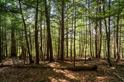Tbd Standpipe Road, Damariscotta, ME 04543 - Photo 38