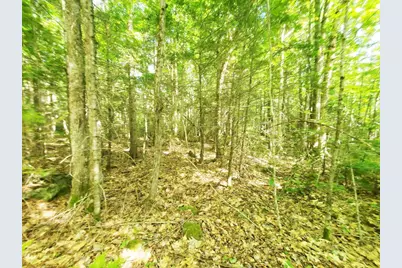 501 Pullen Woods Road, Palermo, ME 04354 - Photo 60