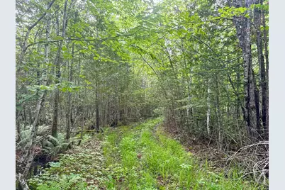 M2L12 Wellington Road, Harmony, ME 04942 - Photo 6