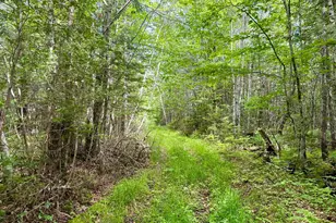 M2L12 Wellington Rd, Harmony, ME 04942 - Photo 1