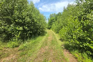 1557 Lyford Rd, Orneville Twp, ME 04463 - Photo 32