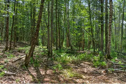 Lot 42 Colby Road, Westport, ME 04578 - Photo 44
