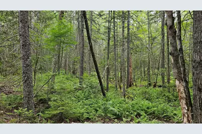 Lot 42 Colby Road, Westport, ME 04578 - Photo 18