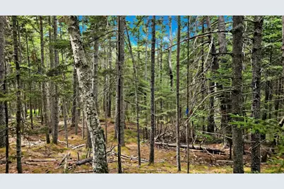 Lot 42 Colby Road, Westport, ME 04578 - Photo 14