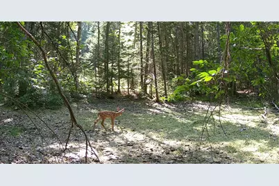 Lot 42 Colby Road, Westport, ME 04578 - Photo 18