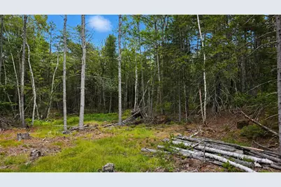 Lot 42 Colby Road, Westport, ME 04578 - Photo 8