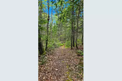 Lot 42 Colby Road, Westport, ME 04578 - Photo 22