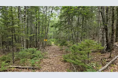 Lot 42 Colby Road, Westport, ME 04578 - Photo 24