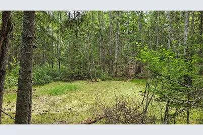Lot 42 Colby Road, Westport, ME 04578 - Photo 12