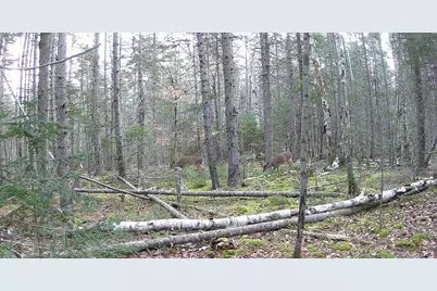 Lot 42 Colby Road, Westport, ME 04578 - Photo 26