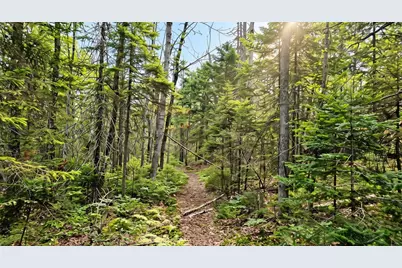 Lot 42 Colby Road, Westport, ME 04578 - Photo 10