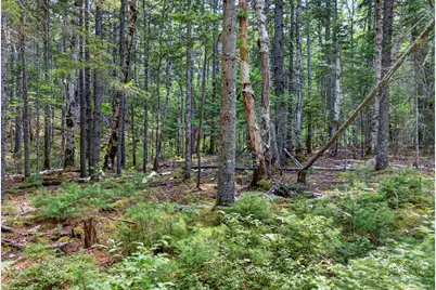Lot 42 Colby Road, Westport, ME 04578 - Photo 46