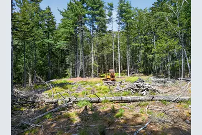 Lot 42 Colby Road, Westport, ME 04578 - Photo 32