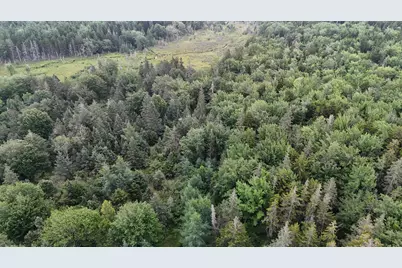 36 Lemoine (Map 12 Lot 36) Road, Swans Island, ME 04685 - Photo 10