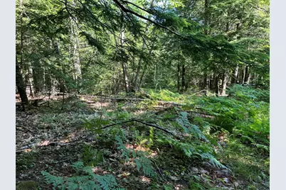 M8B40L3 Hamm Road, Frankfort, ME 04438 - Photo 16