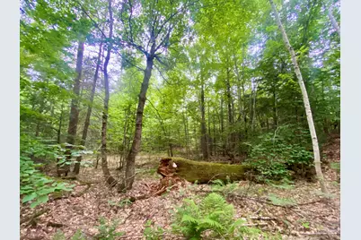 36Ac Tucker Road, Porter, ME 04068 - Photo 8