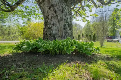 7 & 9 Merithew Road, Searsport, ME 04974 - Photo 38