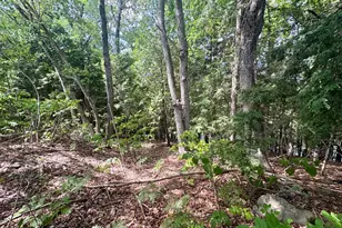 219 River Rd, Maxfield, ME 04453 - Photo 48