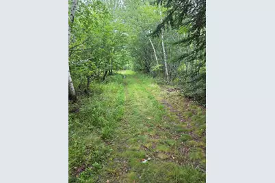 Lot 175 Poplar Lane, Milbridge, ME 04658 - Photo 12