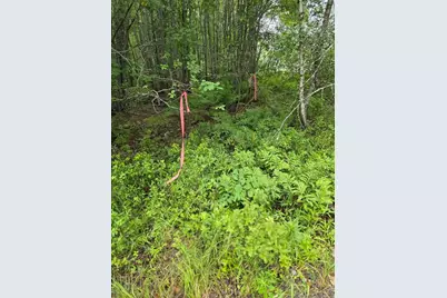 Lot 175 Poplar Lane, Milbridge, ME 04658 - Photo 2
