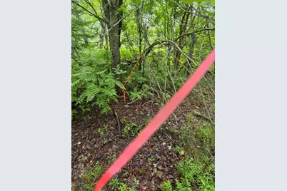 Lot 175 Poplar Lane, Milbridge, ME 04658 - Photo 10
