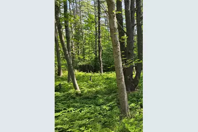 296 Libby Hill Road, Gardiner, ME 04345 - Photo 8
