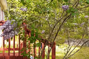 29 Dyer Ln, Casco, ME 04015 - Photo 4