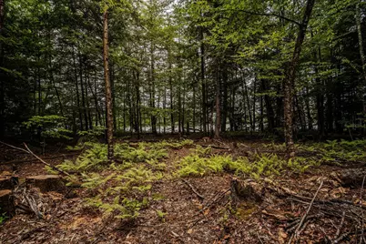 19 Sylvester Estates Drive, Greene, ME 04236 - Photo 16