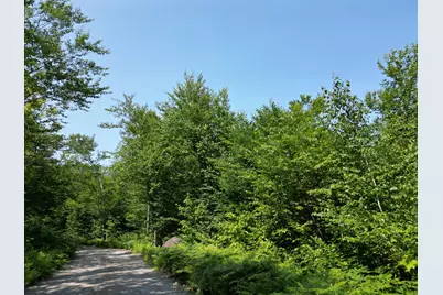 Lot 18-2 Madagascal Pond Road, Burlington, ME 04417 - Photo 12