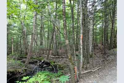Lot 18-2 Madagascal Pond Road, Burlington, ME 04417 - Photo 2