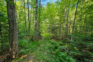 87 Cumner Rd, Vienna, ME 04360 - Photo 88