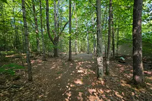 87 Cumner Rd, Vienna, ME 04360 - Photo 86