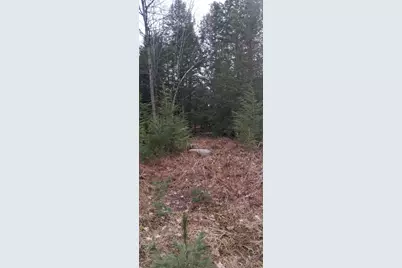346 Bell Hill Road, Otisfield, ME 04270 - Photo 34