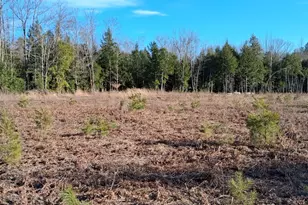 346 Bell Hill Rd, Otisfield, ME 04270 - Photo 10