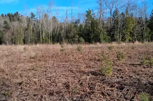 346 Bell Hill Rd, Otisfield, ME 04270 - Photo 6
