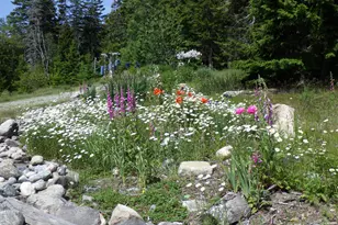 360 Red Point Rd, Swans Island, ME 04685 - Photo 130