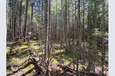 Lot 80 Yoho Head Road, Machiasport, ME 04655 - Photo 12