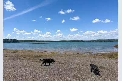 Lot 80 Yoho Head Road, Machiasport, ME 04655 - Photo 4
